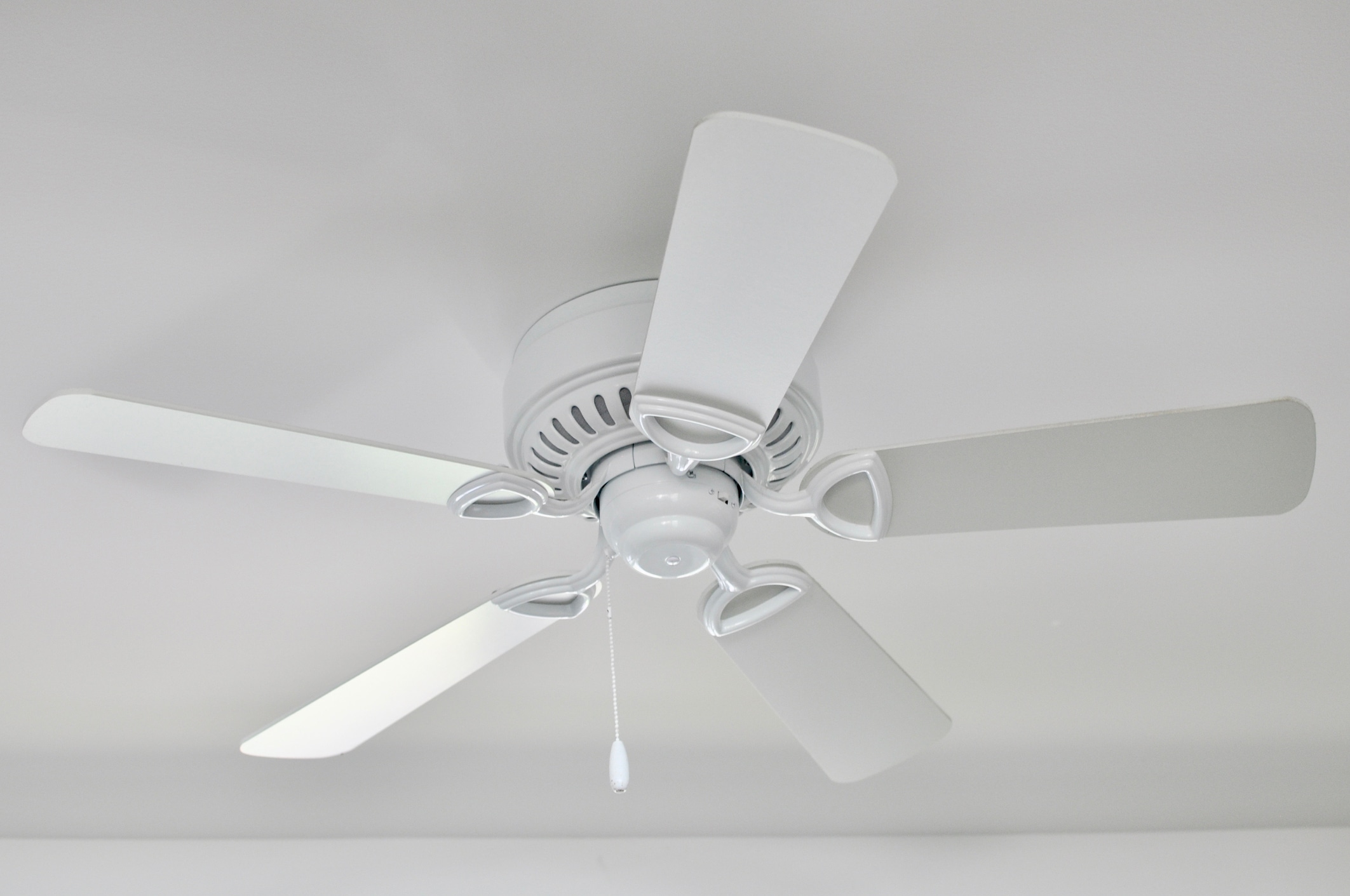 white ceiling fan newly installed